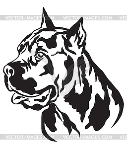 Decorative portrait of Cane Corso Italiano - vector clip art