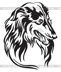Decorative portrait of Collie - royalty-free vector clipart