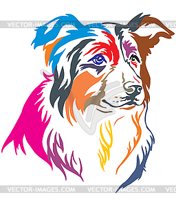 Colorful decorative portrait of Border Collie - vector image