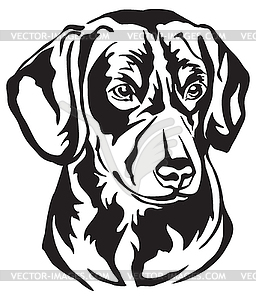 Decorative portrait of Entlebucher Mountain Dog - vector image