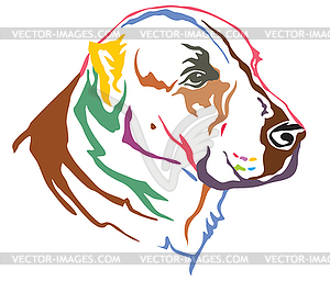 Colorful decorative portrait of Central Asian - vector clipart