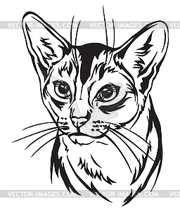 Декоративный портрет абиссинского кота - векторный клипарт Royalty-Free