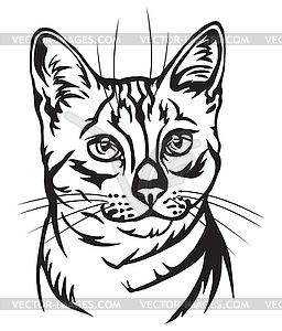 Decorative portrait of Egyptian Mau Cat - vector image