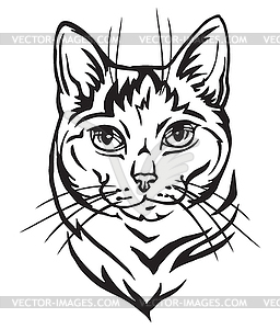 Decorative portrait of Mongrel Cat - vector clipart