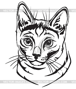 Decorative portrait of Russian Blue cat - vector image