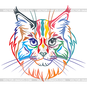 Colorful decorative portrait of Maine Coon Cat - vector clip art