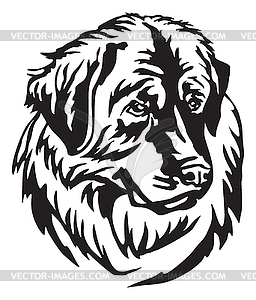 Decorative portrait of Dog Leonberger - vector image