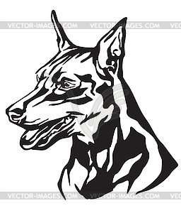 Decorative portrait of Dog Miniature Pinscher - vector clip art