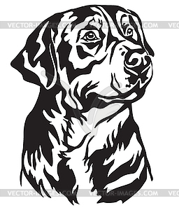 Decorative portrait of Greater Swiss Mountain Dog - vector clipart