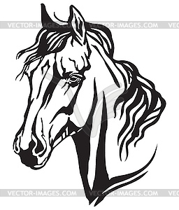 Decorative portrait of Arabian horse - vector image