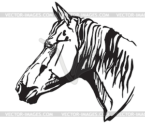 Decorative portrait of horse- - vector clip art