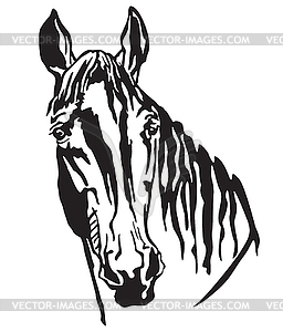 Decorative portrait of Trakehner horse- - vector image