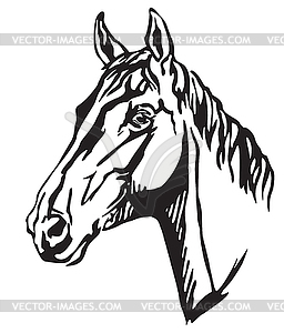 Decorative portrait of Trakehner horse- - vector clipart
