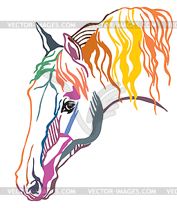 Colorful decorative portrait of horse - vector image