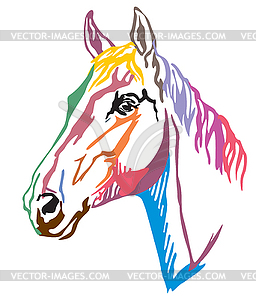 Colorful decorative portrait of Trakehner horse-3 - color vector clipart