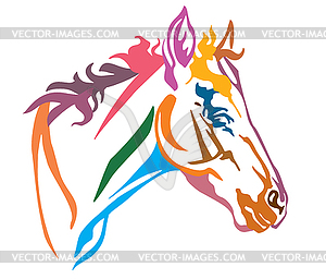 Colorful decorative portrait of foal - vector clipart