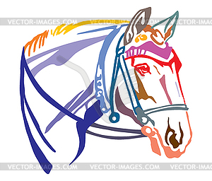 Colorful decorative portrait of horse with bridle - vector image