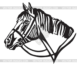 Decorative portrait of horse in profil - vector clipart