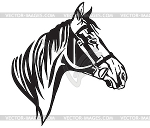 Decorative portrait of horse in profile  - vector image