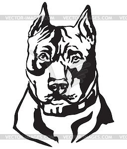 Decorative portrait of Dog American Staffordshire - vector clipart