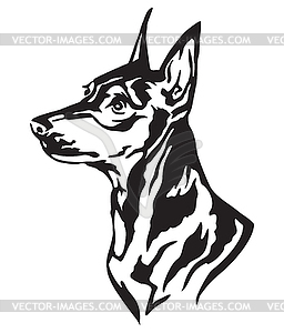 Decorative portrait of Dog Miniature Pinscher - vector image