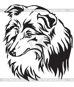 Decorative portrait of Dog Sheltie - stock vector clipart