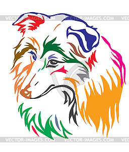 Colorful decorative portrait of Dog Sheltie - vector image