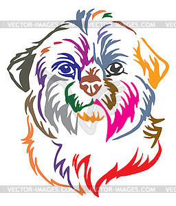 Colorful decorative portrait of Dog Shih Tzu - vector clip art