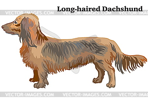 Colored decorative standing portrait of dog - vector clipart