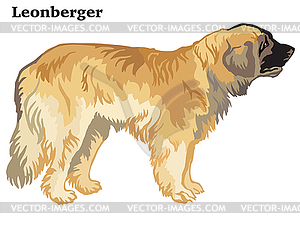 Colored decorative standing portrait of Leonberger - vector clipart