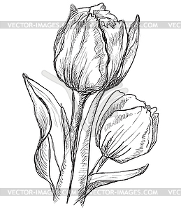 Hand drawing flower 10 - vector clipart