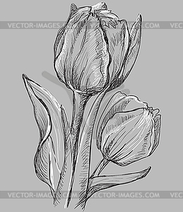 Grey flower 10 - vector image