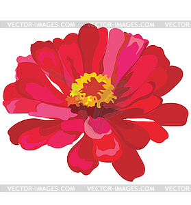 Flower  - vector clipart