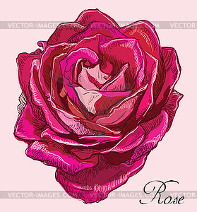 Красочный цветок - векторное изображение клипарта