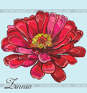 Colorful flower  - vector clipart