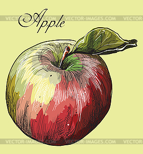 Красочные фрукты- - векторная иллюстрация