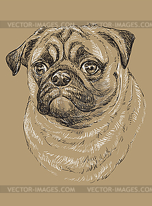 Monochrome Pug hand drawing portrait - vector clipart