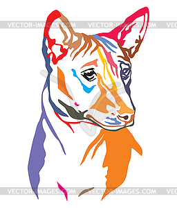 Colorful decorative portrait of Dog Basenji - vector clip art