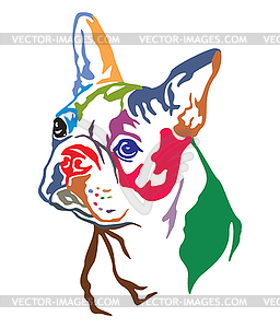 Colorful decorative portrait of Dog Boston terrier - vector image