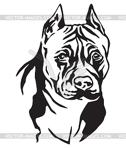 Decorative portrait of Dog American Staffordshire - vector image