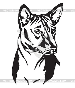 Decorative portrait of Dog Basenji - vector clip art