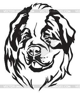 Decorative portrait of Dog St. Bernard - vector clipart