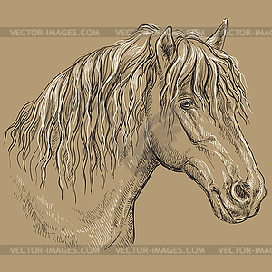 Horse portrait-12 on brown background - vector clipart