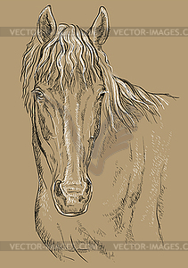 Horse portrait-14 on brown background - vector image