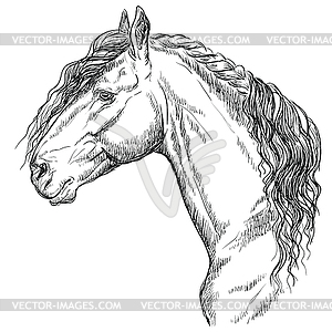 Horse portrait-15 - vector clip art