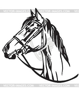 Decorative portrait of horse  - vector image