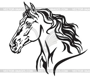 Decorative portrait of horse  - vector image