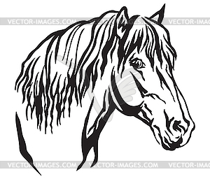 Decorative portrait of horse  - vector clipart