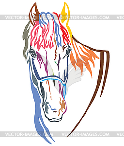Colorful decorative portrait of horse  - vector clipart / vector image