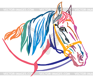 Colorful decorative portrait of horse  - vector image